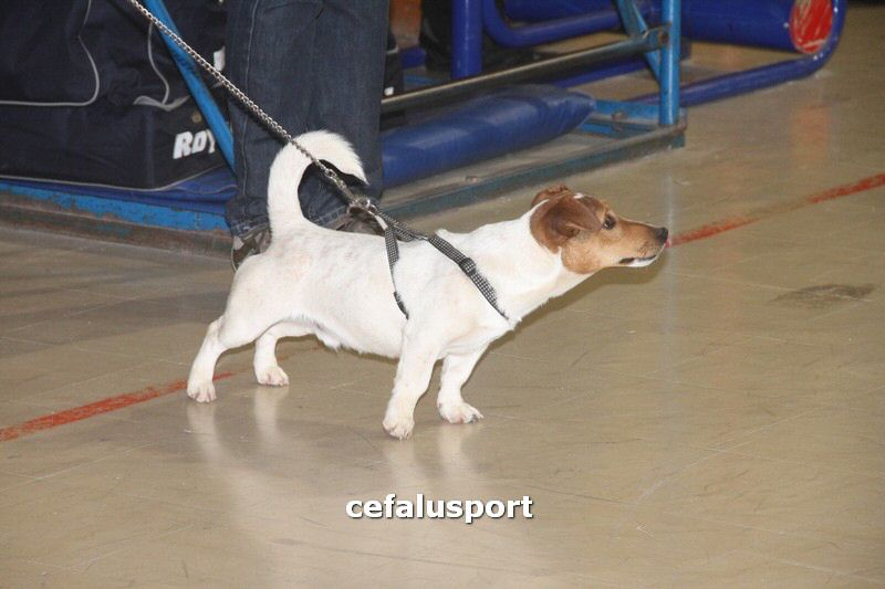 120212 sport 102_tn.jpg
